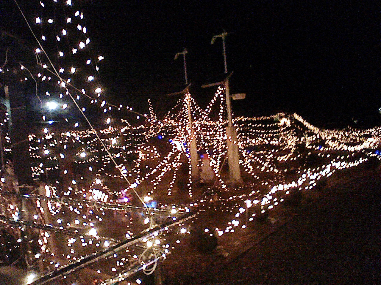 NEC_0078.JPG